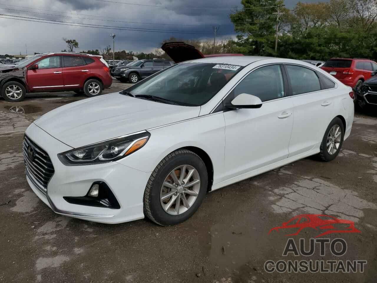 HYUNDAI SONATA 2019 - 5NPE24AF2KH747289