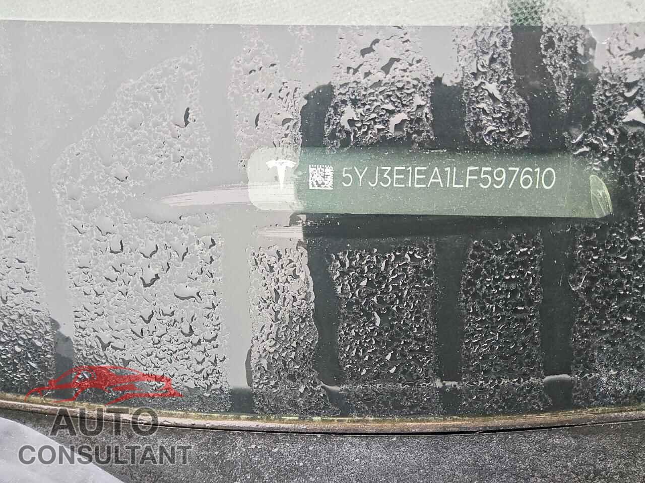 TESLA MODEL 3 2020 - 5YJ3E1EA1LF597610