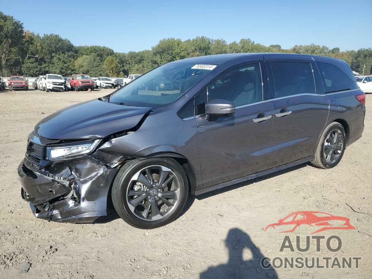 HONDA ODYSSEY 2024 - 5FNRL6H98RB054035