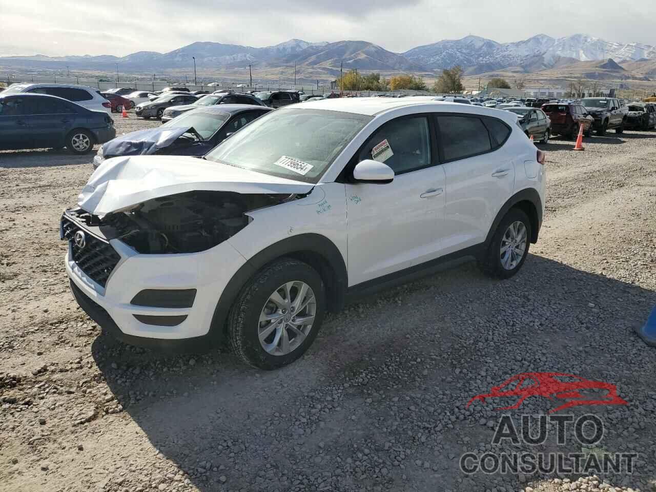 HYUNDAI TUCSON 2019 - KM8J2CA48KU073089