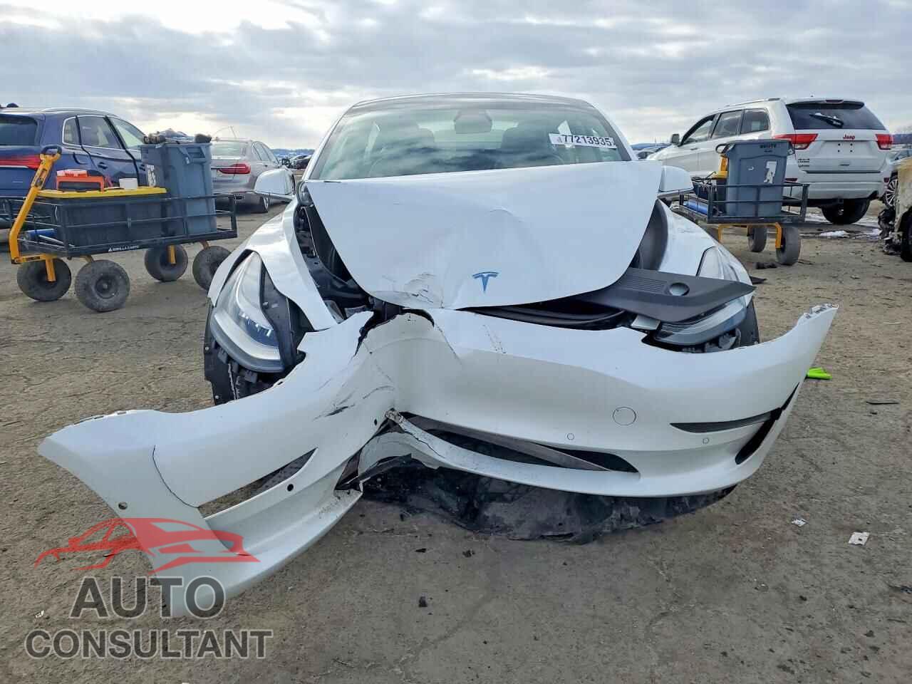 TESLA MODEL 3 2020 - 5YJ3E1EB5LF619665