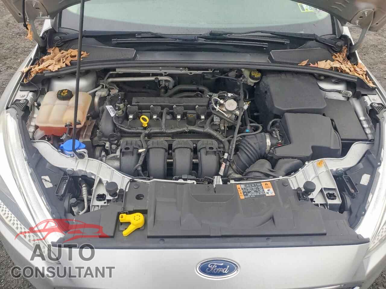 FORD FOCUS 2016 - 1FADP3E21GL350048
