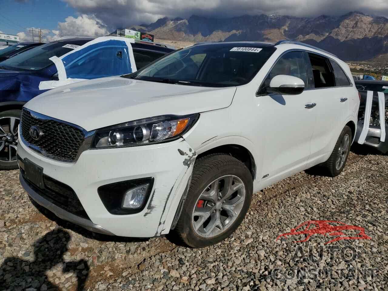 KIA SORENTO 2017 - 5XYPKDA56HG227984