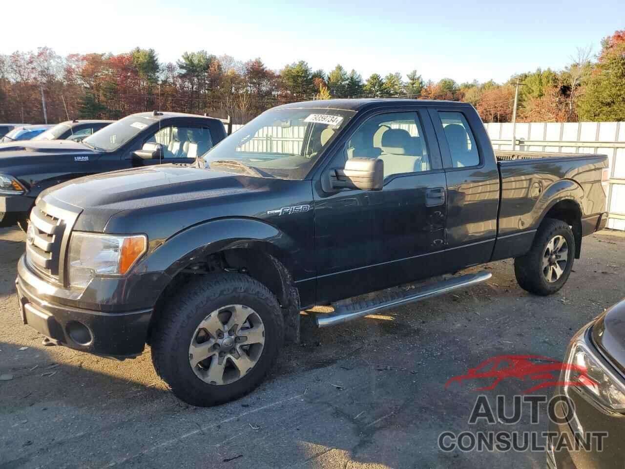 FORD F-150 2011 - 1FTFX1EF1BFA67697