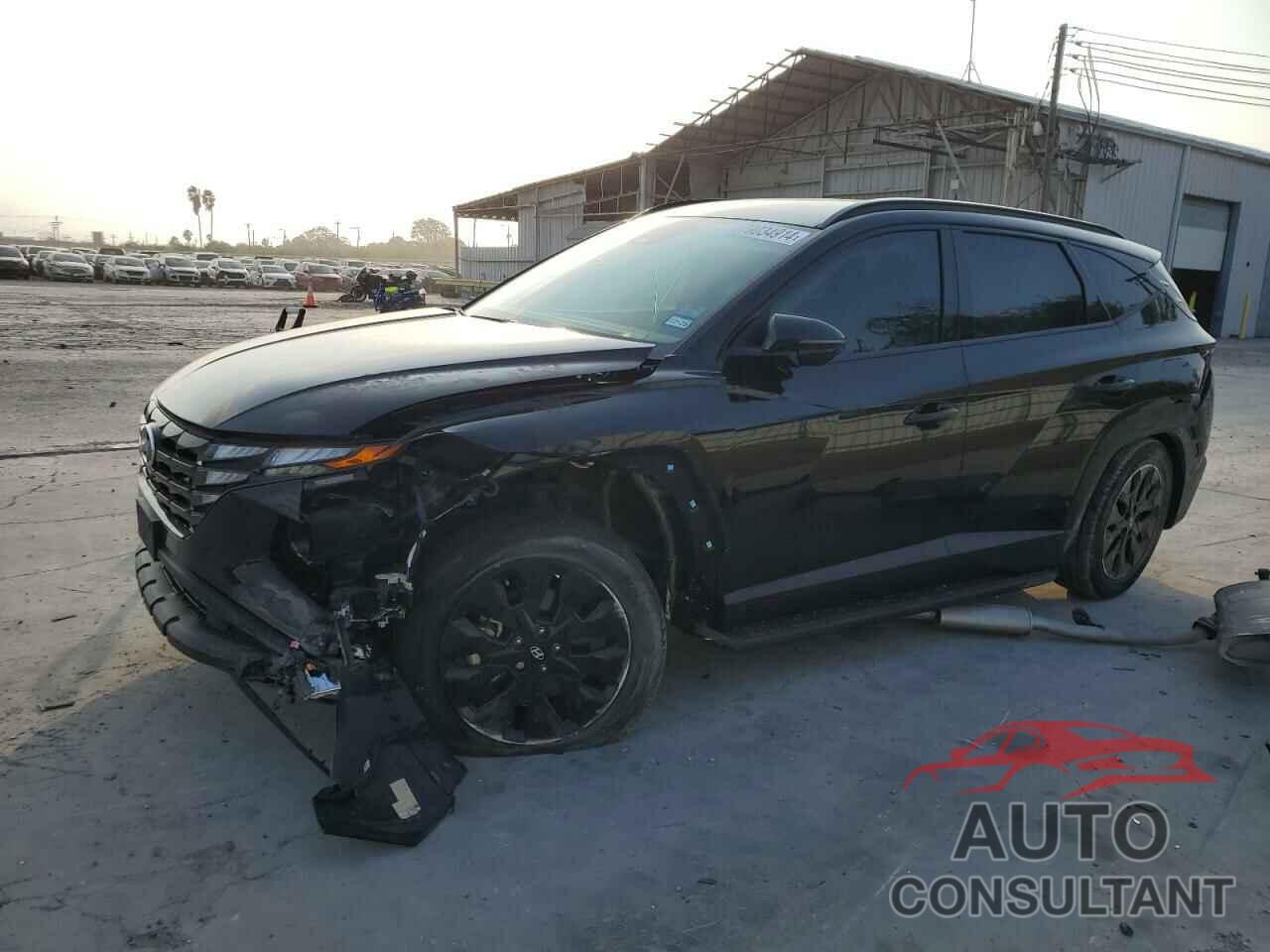 HYUNDAI TUCSON 2023 - KM8JFCAE9PU200632