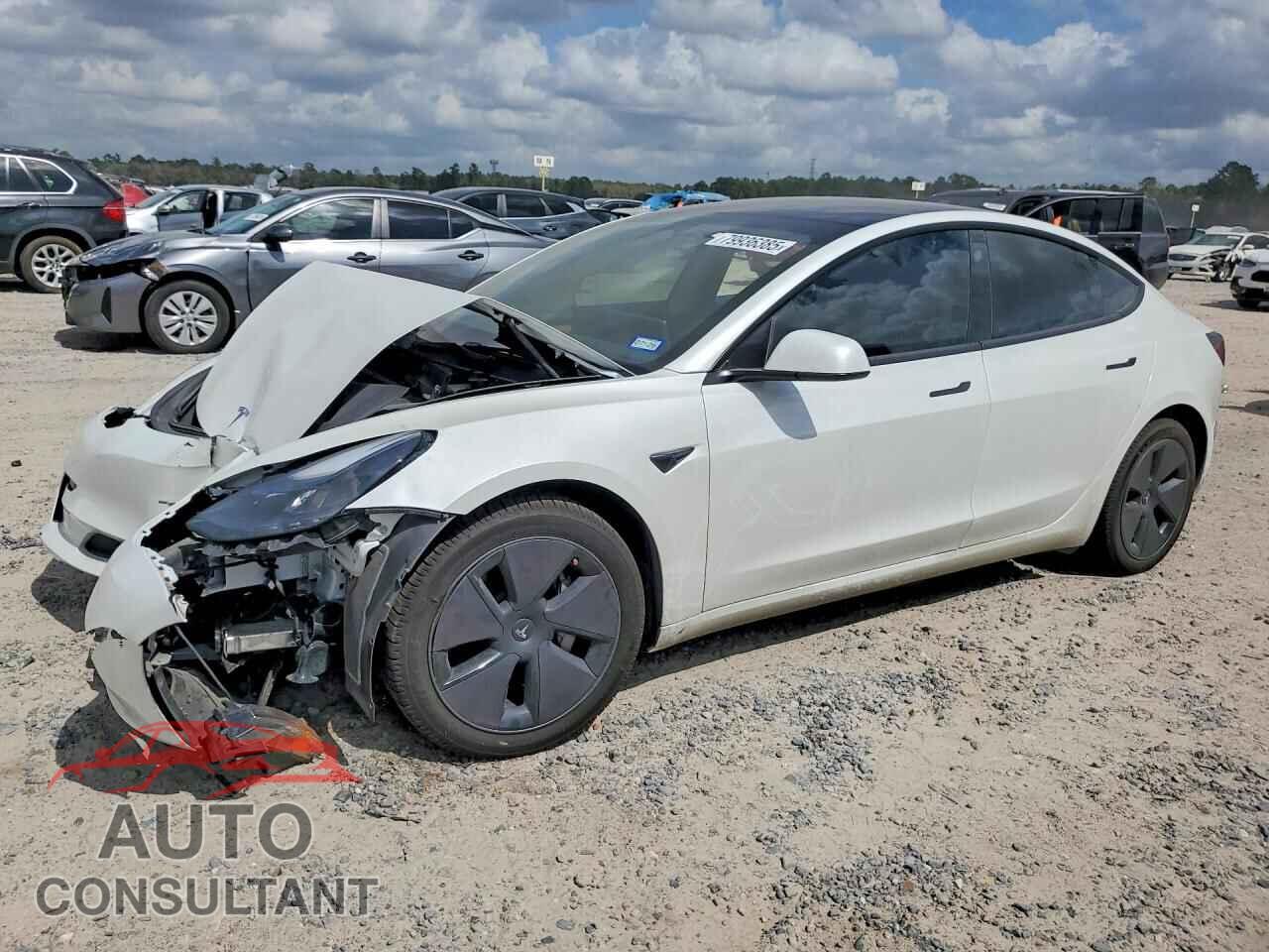 TESLA MODEL 3 2023 - 5YJ3E1EA3PF599882