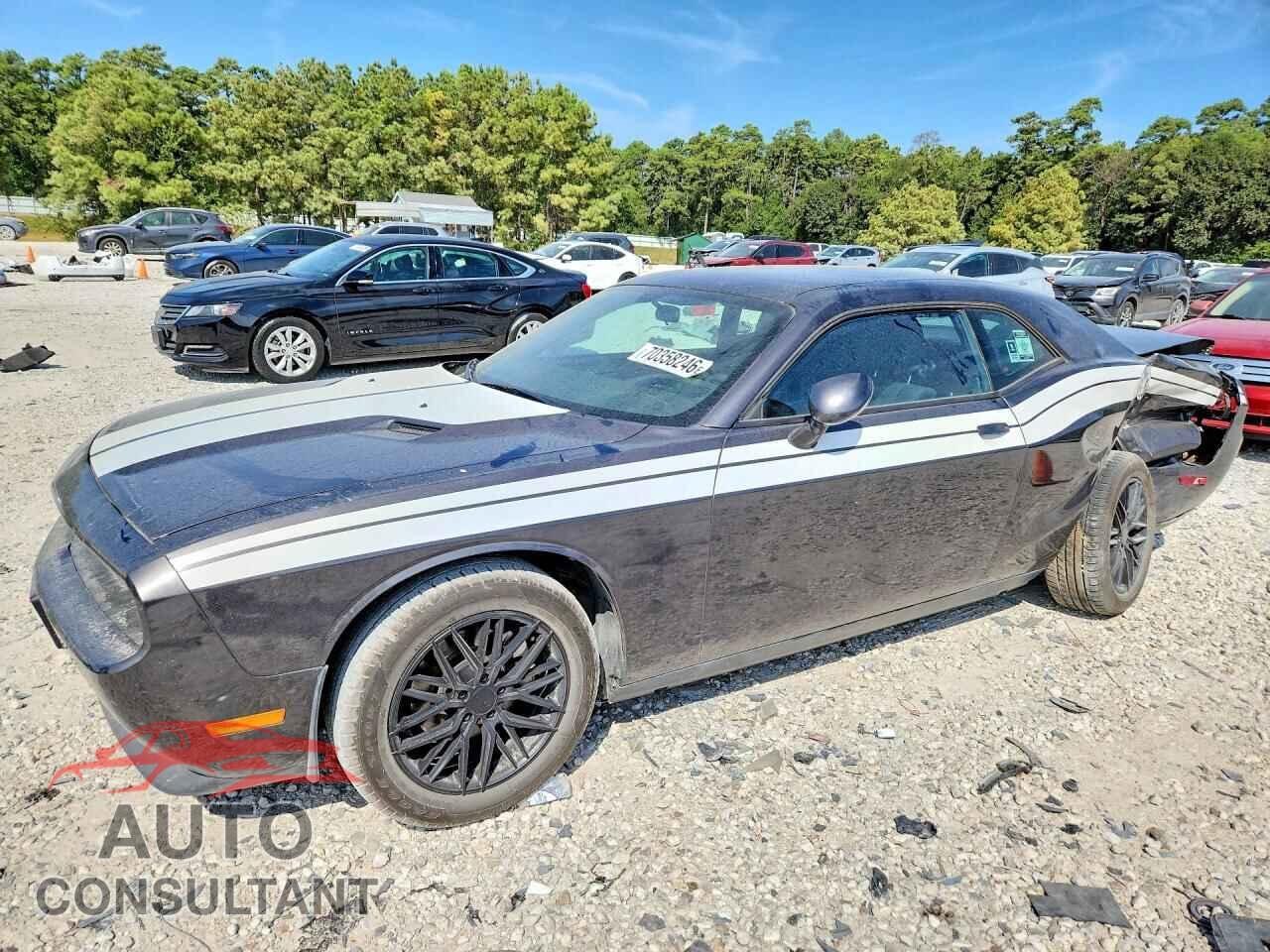 DODGE CHALLENGER 2014 - 2C3CDYAG3EH153121