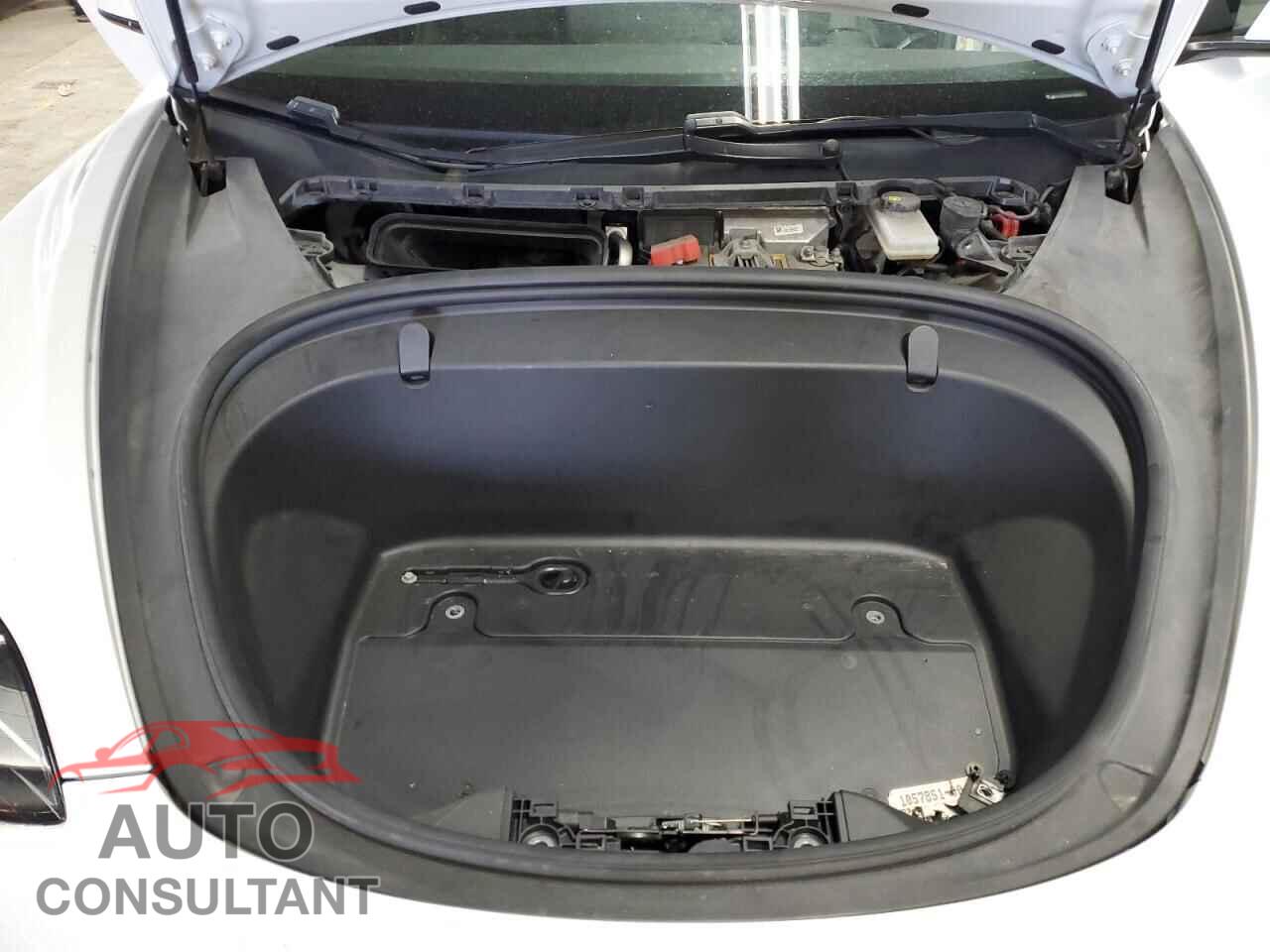 TESLA MODEL 3 2019 - 5YJ3E1EB1KF493982