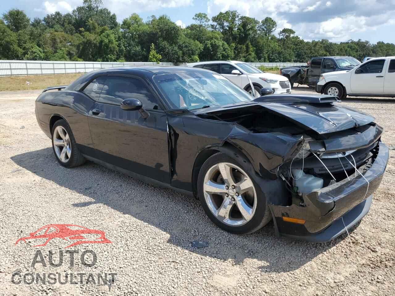 DODGE CHALLENGER 2013 - 2C3CDYBT3DH615946