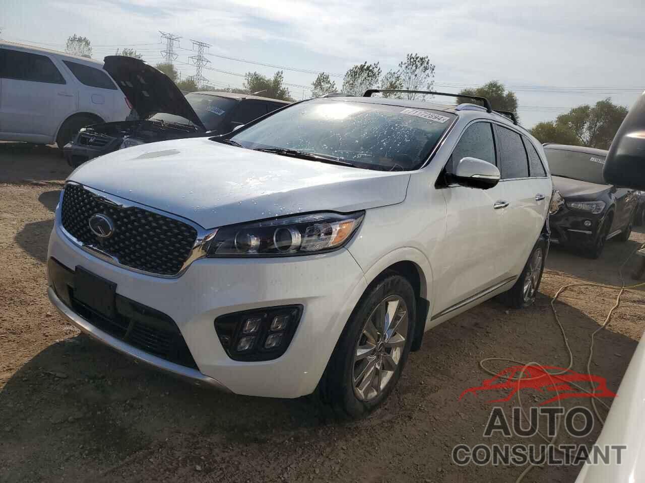 KIA SORENTO 2017 - 5XYPKDA56HG210246