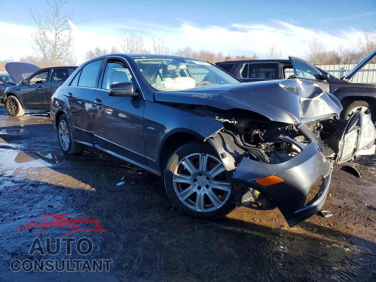 MERCEDES-BENZ E-CLASS 2012 - WDDHF8JBXCA575615