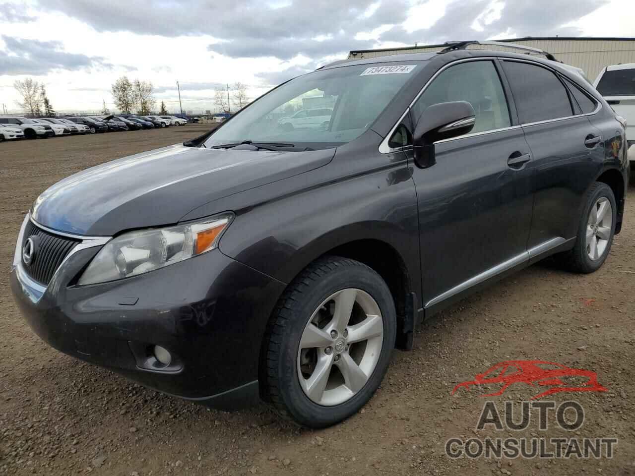 LEXUS RX350 2010 - 2T2BK1BA8AC053630