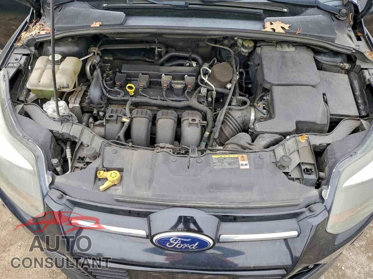 FORD FOCUS 2013 - 1FADP3J29DL277545