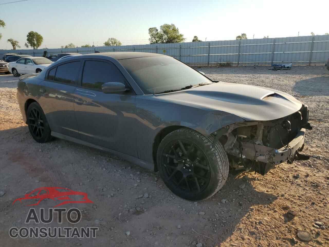 DODGE CHARGER 2017 - 2C3CDXCT9HH520385
