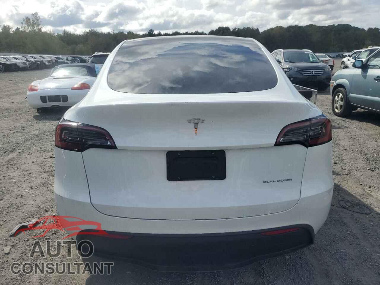 TESLA MODEL Y 2023 - 7SAYGAEE3PF612040
