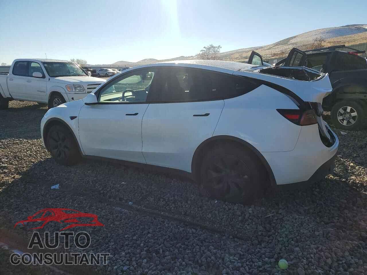 TESLA MODEL Y 2024 - 7SAYGDEE8RA301771