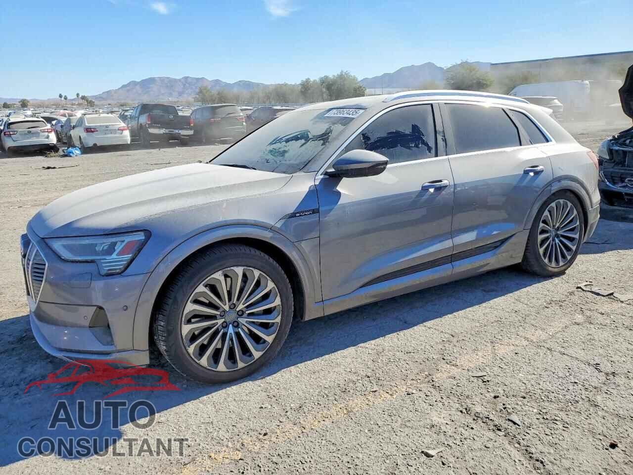 AUDI E-TRON 2019 - WA1VABGE7KB017704