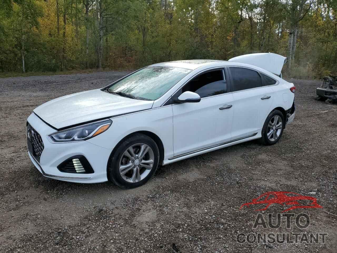 HYUNDAI SONATA 2019 - 5NPE34AF7KH756258
