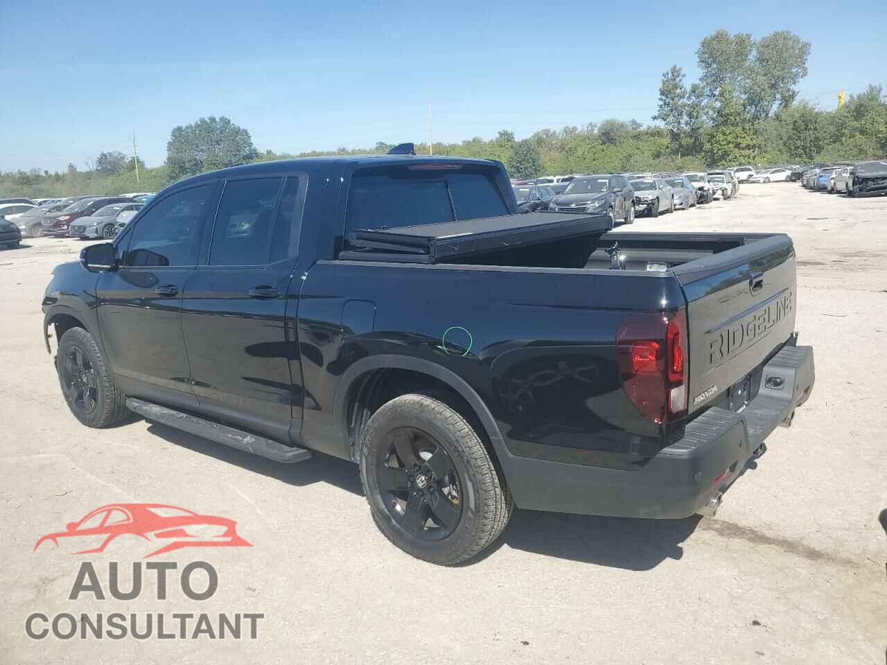 HONDA RIDGELINE 2024 - 5FPYK3F82RB022065