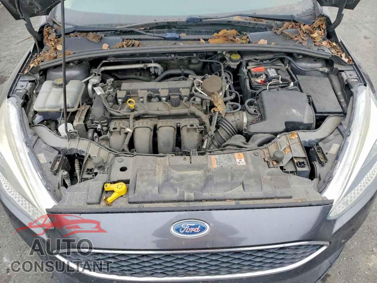 FORD FOCUS 2016 - 1FADP3E29GL230577