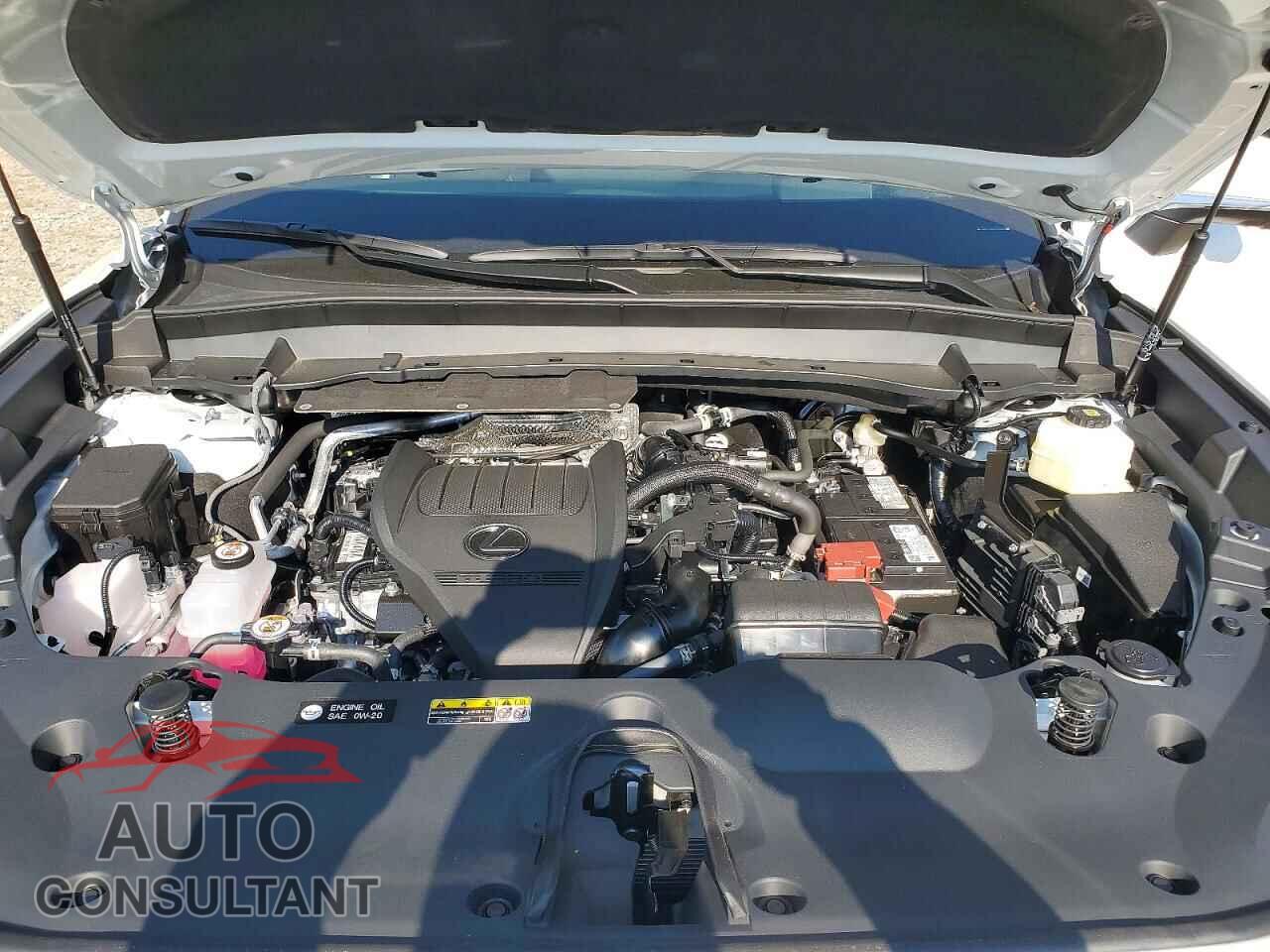 LEXUS UNKNOWN 2026 - 5TDAAAB64TS057540