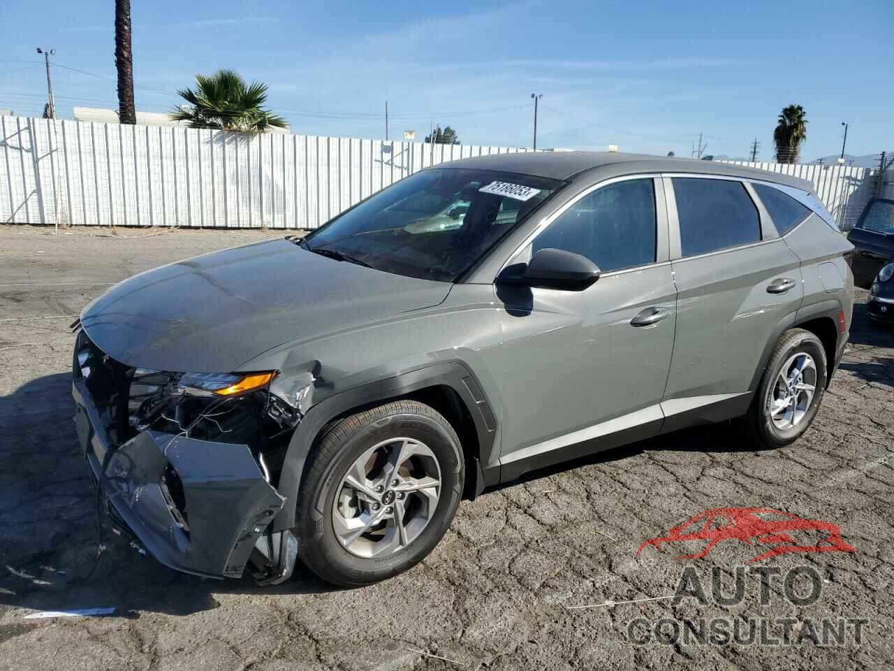 HYUNDAI TUCSON 2024 - 5NMJA3DE1RH305903