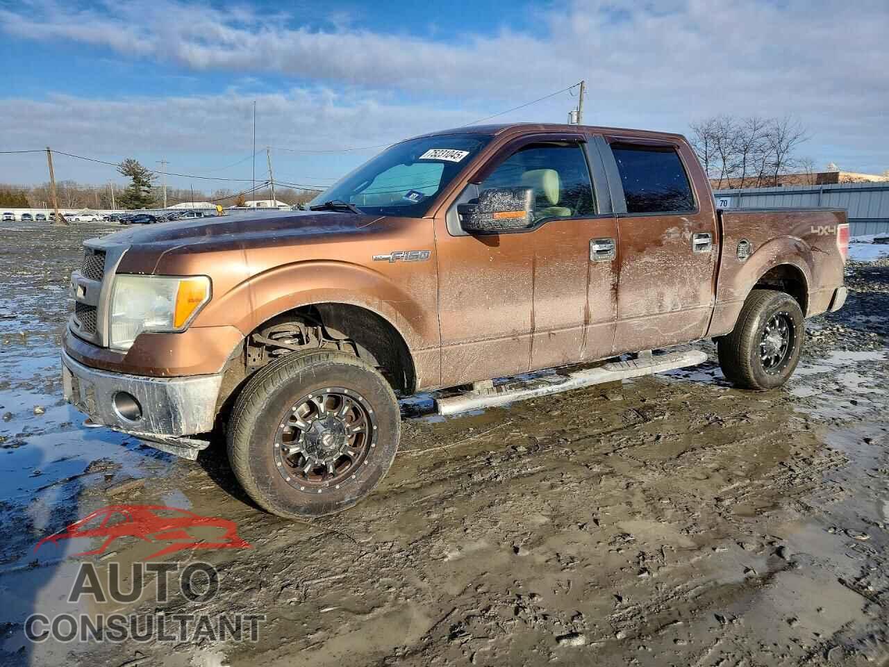 FORD F-150 2012 - 1FTFW1EF9CFA64986