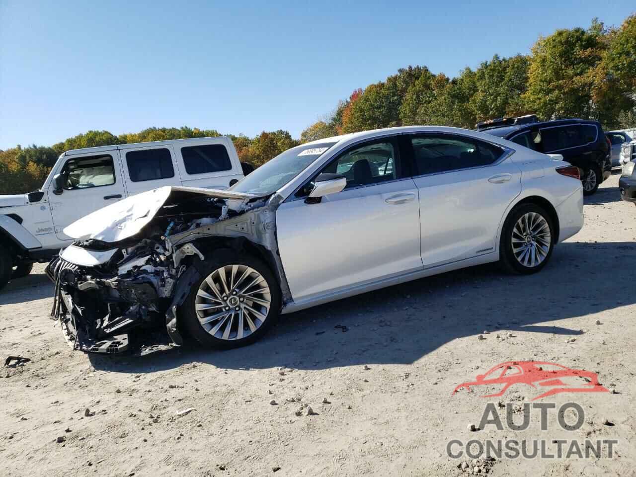 LEXUS ES300 2020 - 58AE21B19LU004836