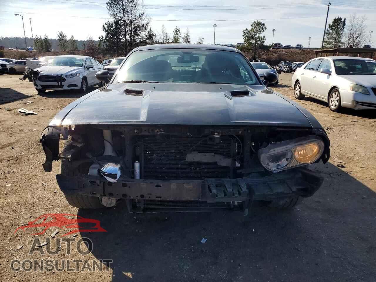 DODGE CHALLENGER 2013 - 2C3CDYAG8DH501574