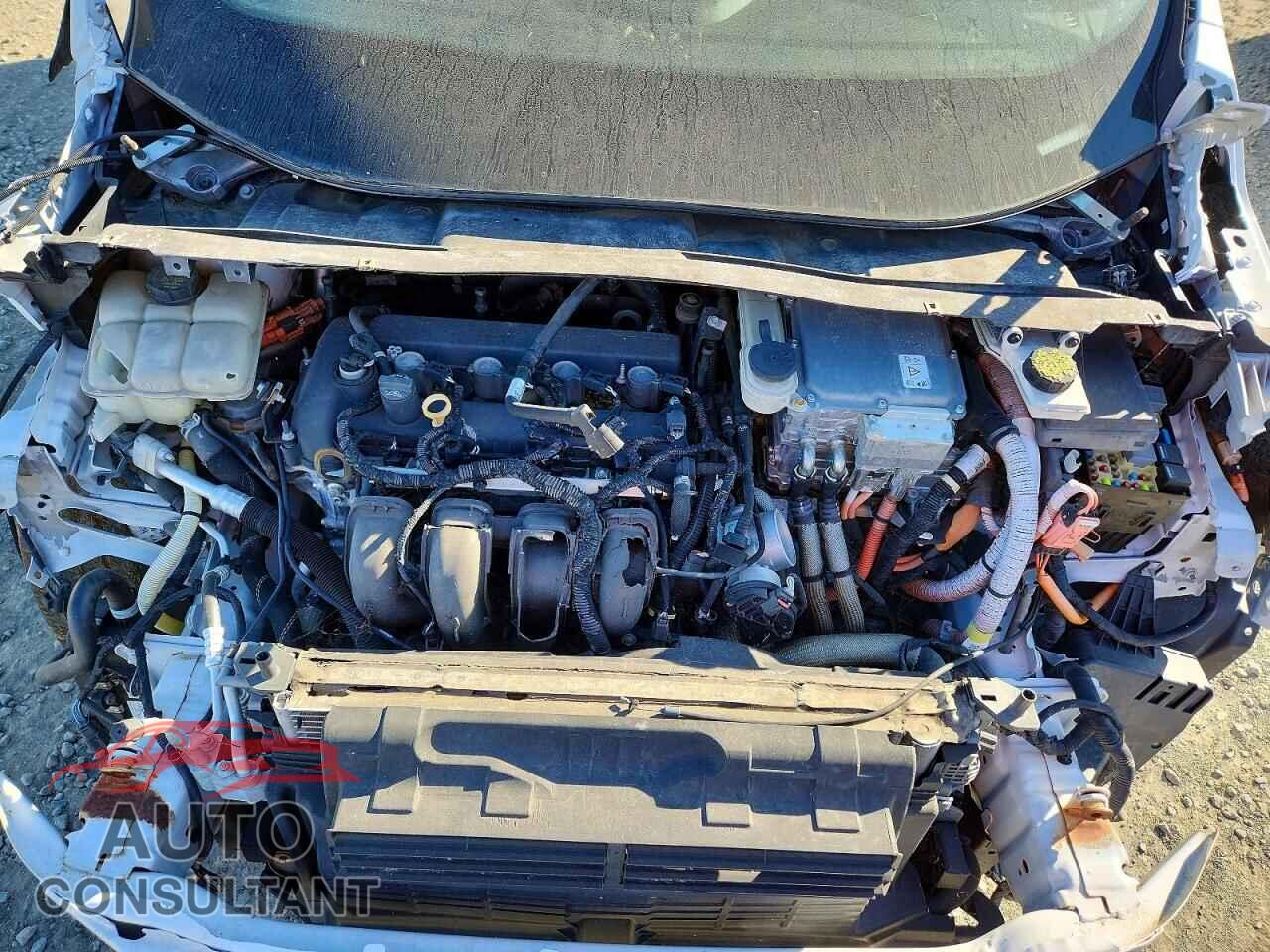 FORD C-MAX 2017 - 1FADP5FU2HL100962