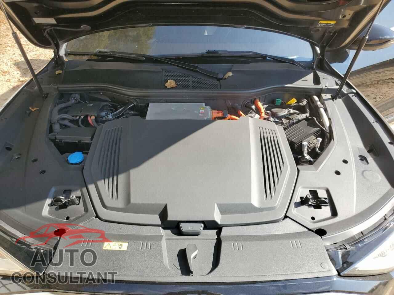 AUDI E-TRON 2019 - WA1VAAGE1KB009575