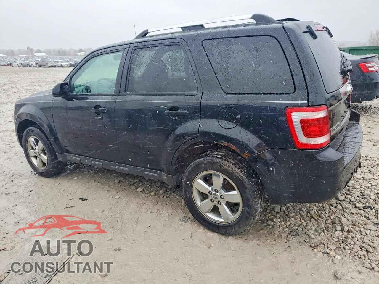 FORD ESCAPE 2010 - 1FMCU9EG0AKD44831