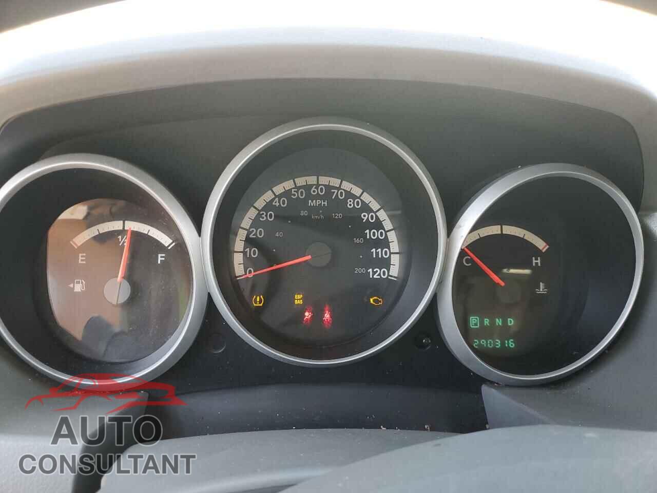 DODGE CARAVAN 2009 - 1D8HN44E49B502000