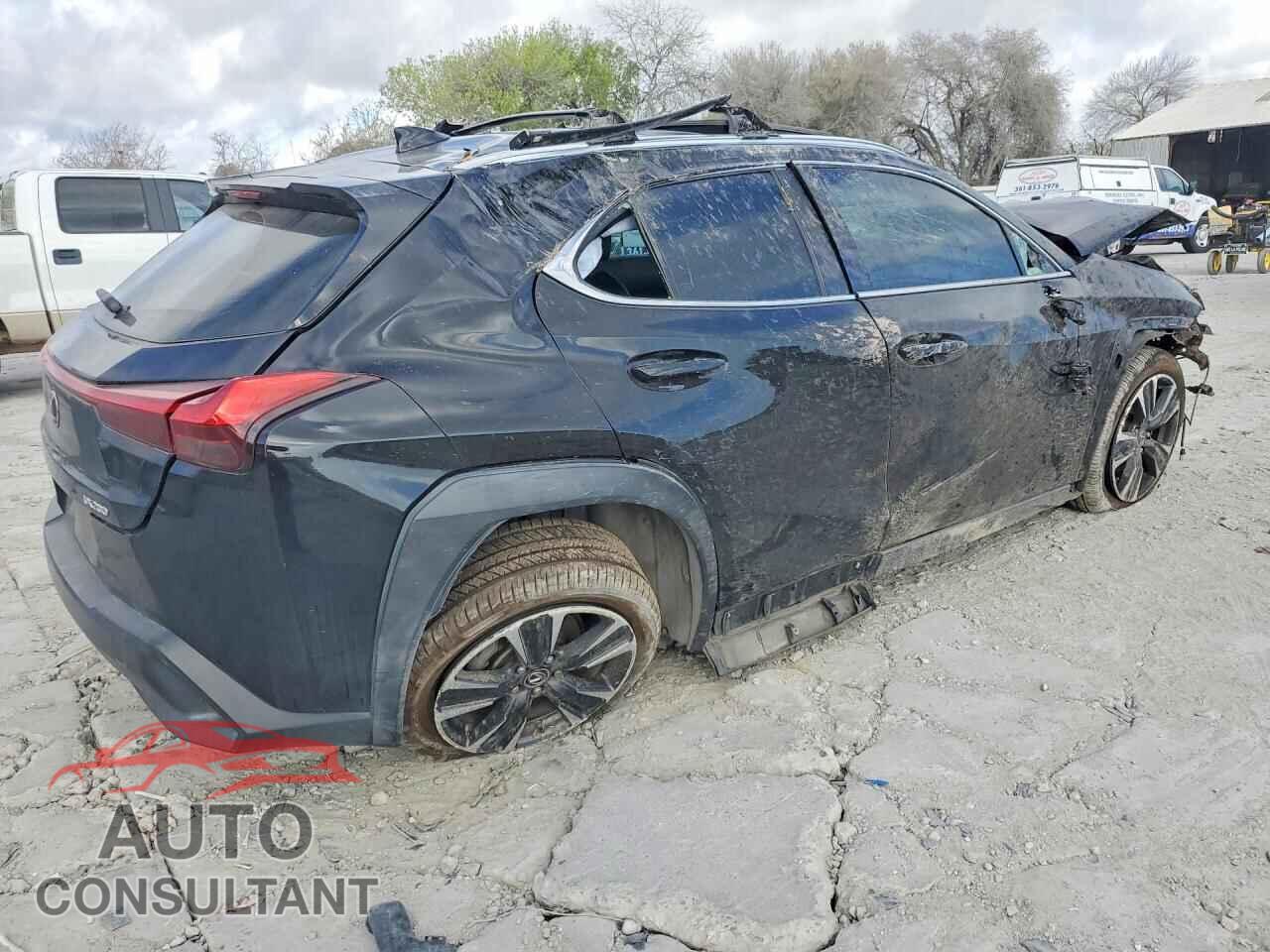 LEXUS UNKNOWN 2019 - JTHY3JBH4K2014556