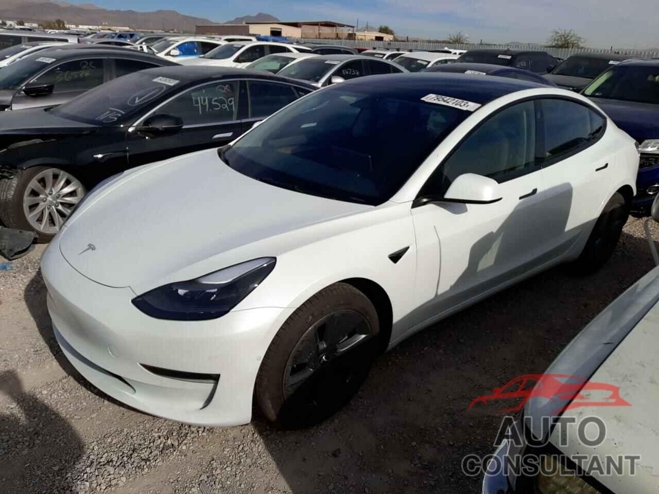 TESLA MODEL 3 2022 - 5YJ3E1EB9NF193384