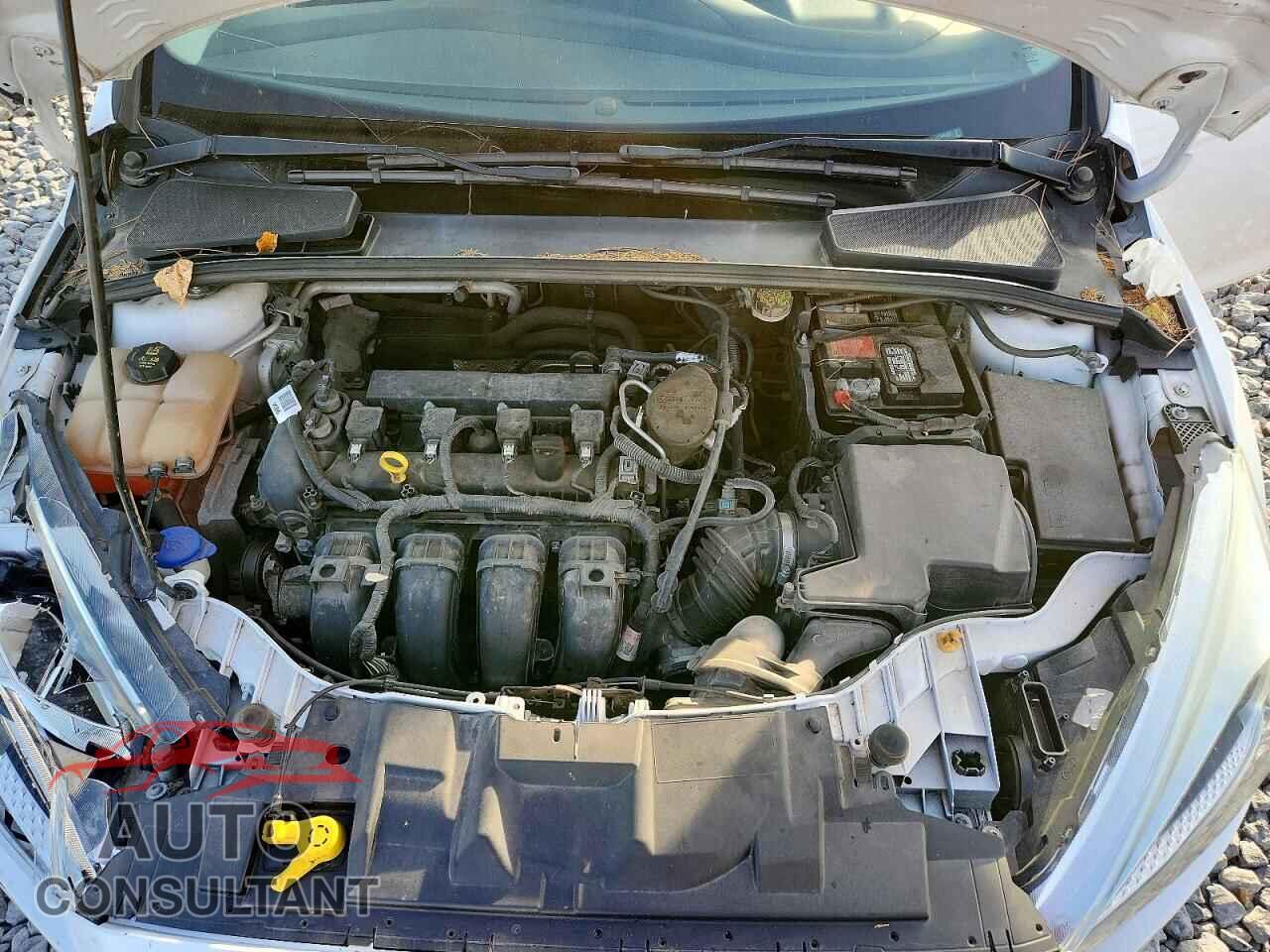 FORD FOCUS 2016 - 1FADP3F25GL244457