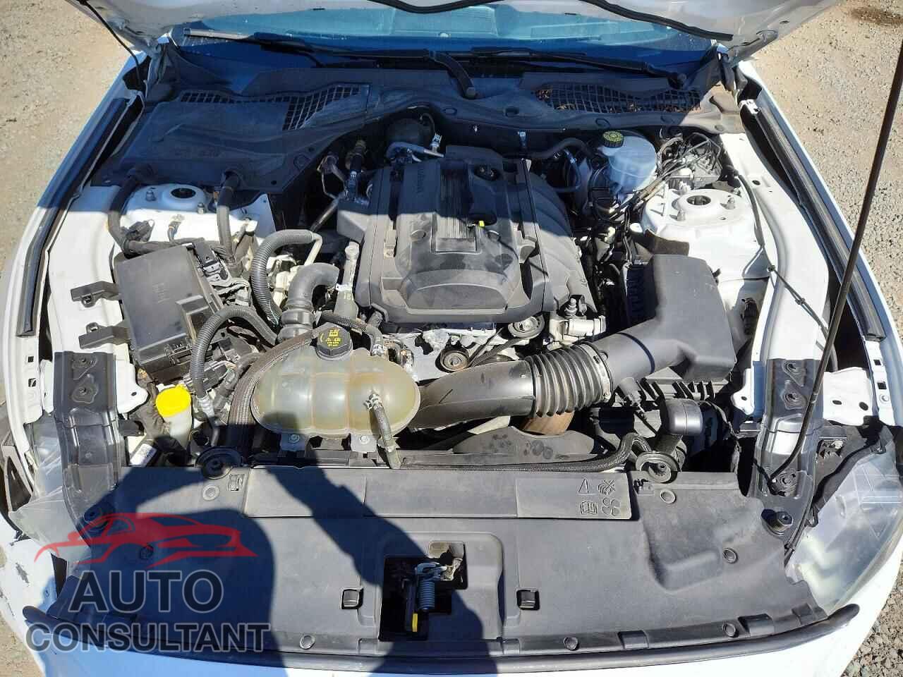 FORD MUSTANG 2019 - 1FA6P8TH4K5172534