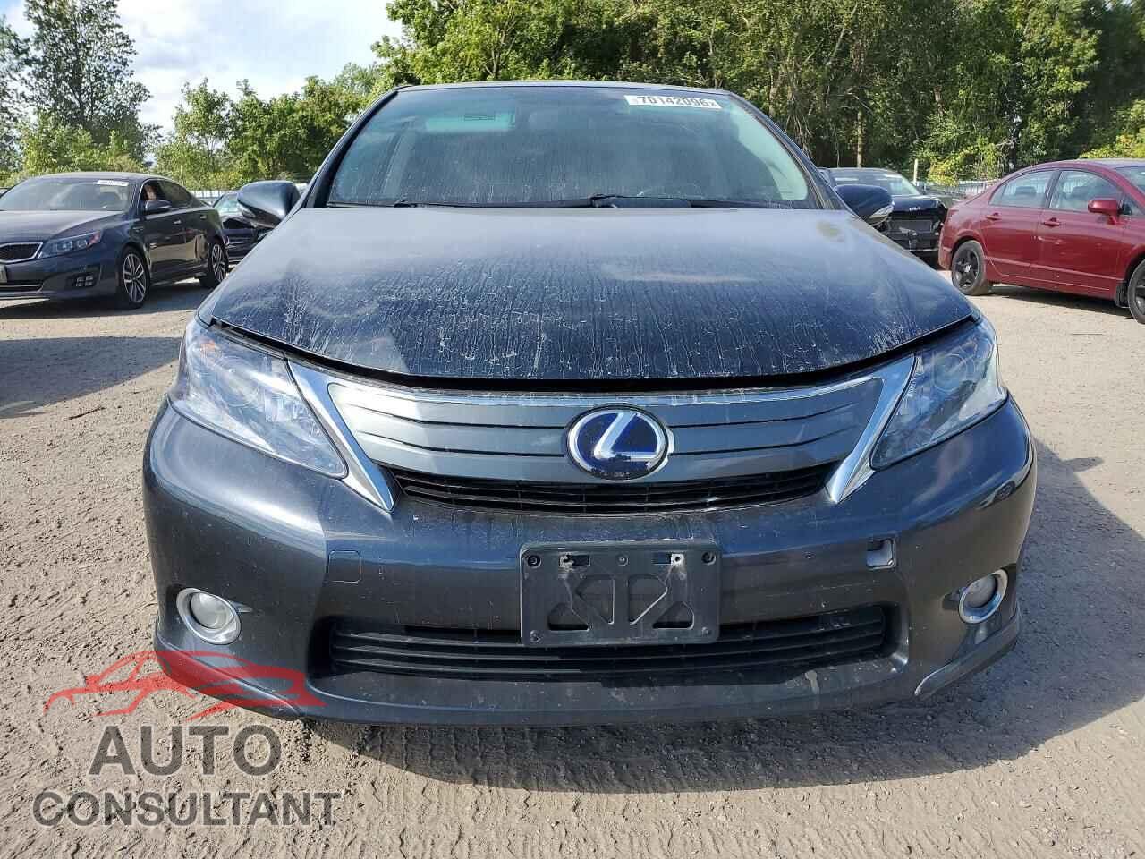 LEXUS HS 2010 - JTHBB1BA1A2021538