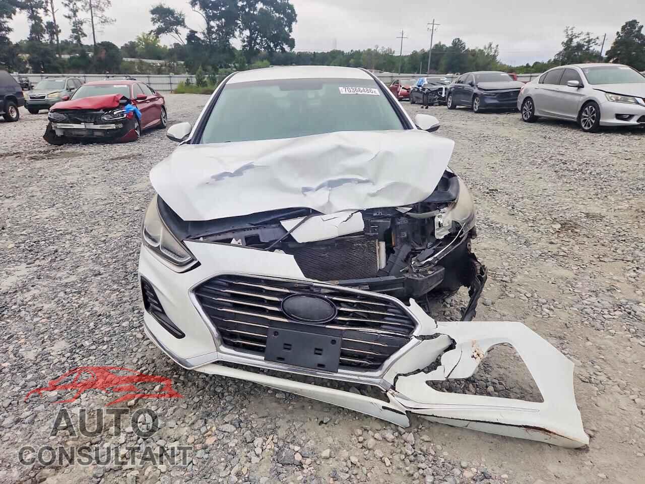HYUNDAI SONATA 2018 - 5NPE34AF2JH649035