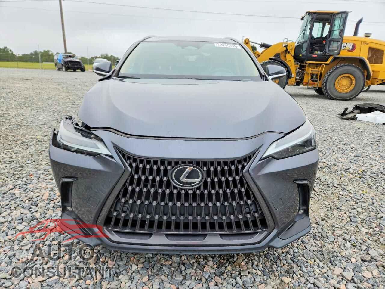 LEXUS NX 2023 - 2T2GDCAZ2PC005066