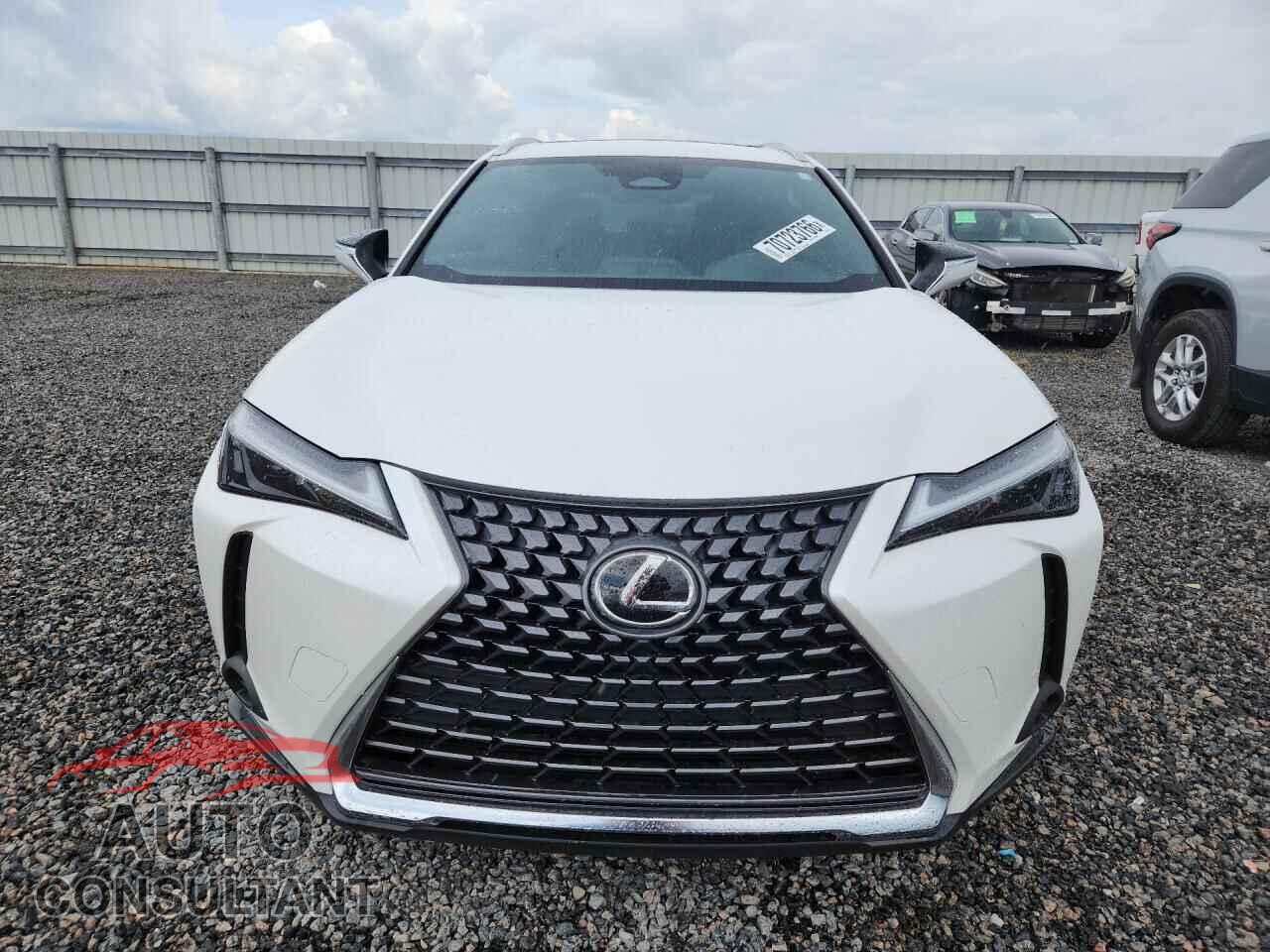 LEXUS UX300H 2025 - JTHYBJAH5S2035565