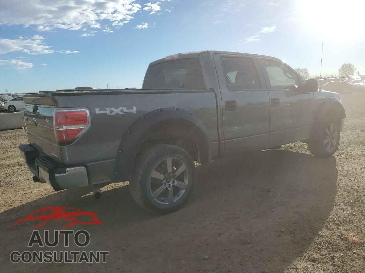 FORD F-150 2013 - 1FTFW1EF5DFD35558