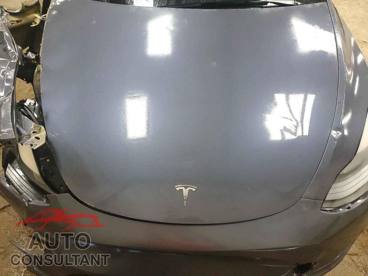 TESLA MODEL Y 2023 - 7SAYGAEE7PF765505