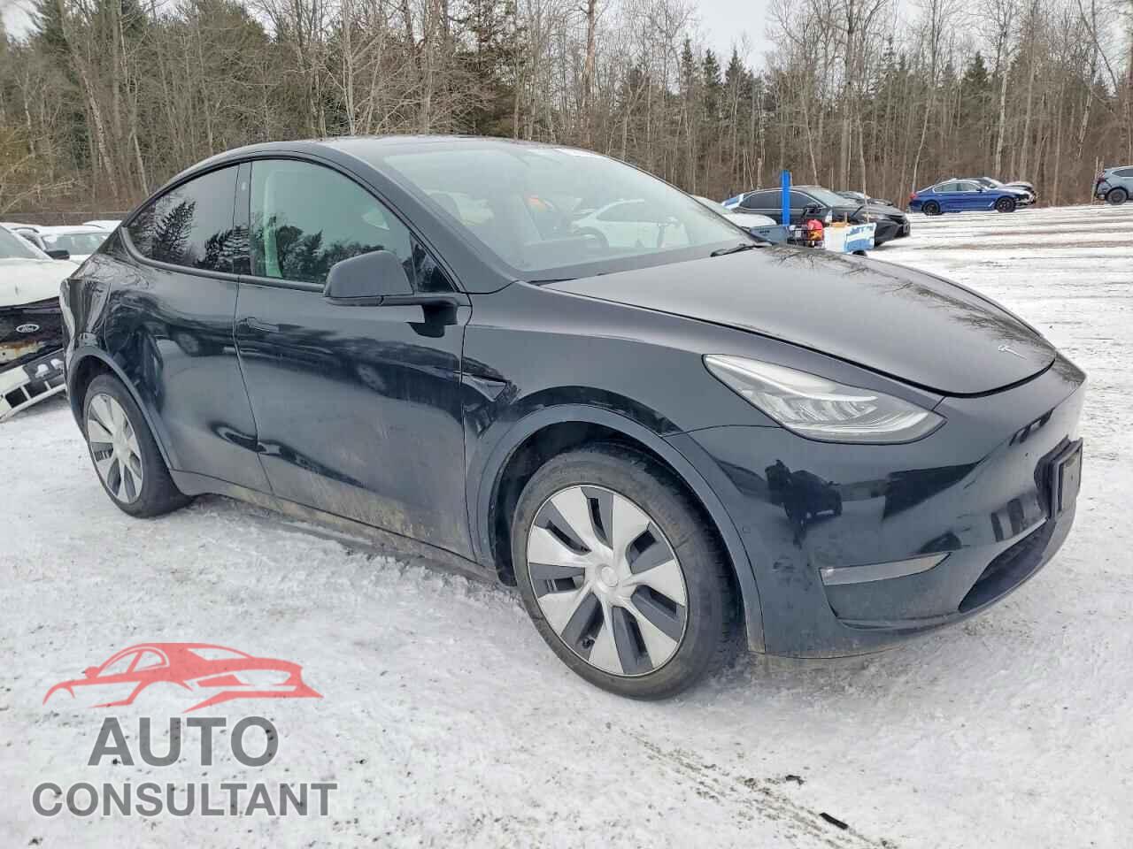 TESLA MODEL Y 2022 - 7SAYGDEE7NF421445