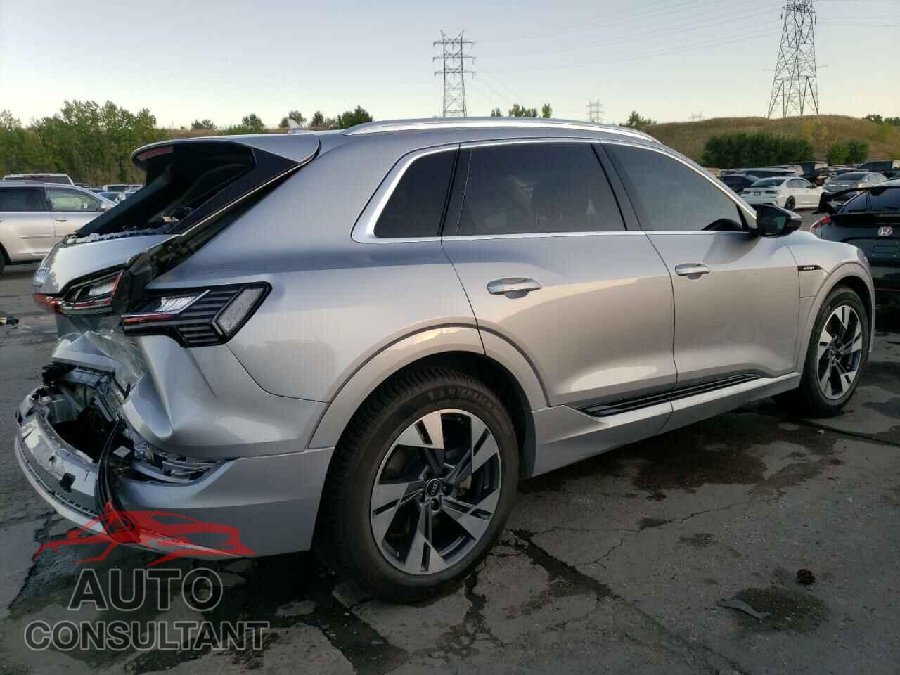 AUDI E-TRON 2022 - WA1AAAGE3NB023738