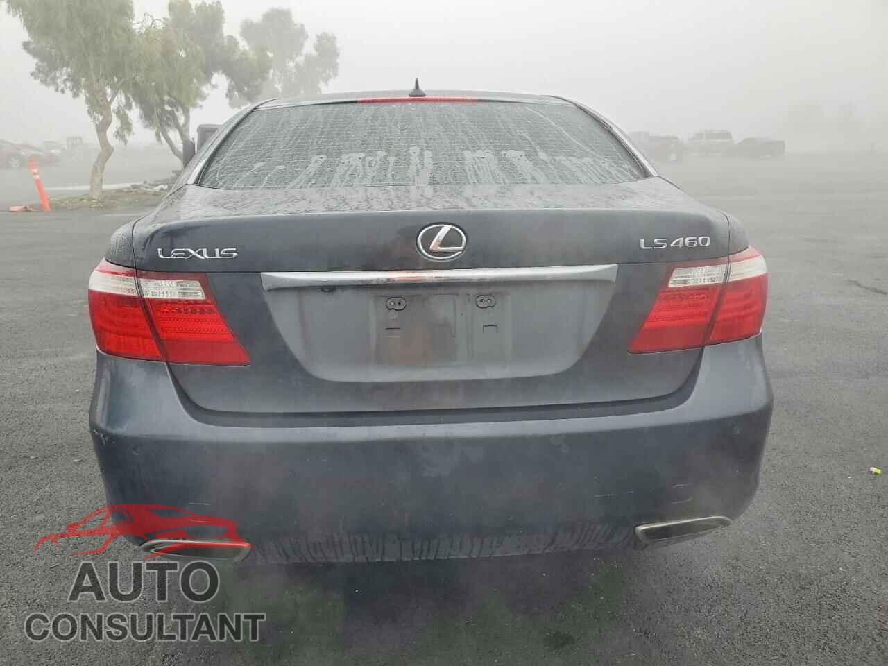 LEXUS LS460 2009 - JTHBL46FX95091375