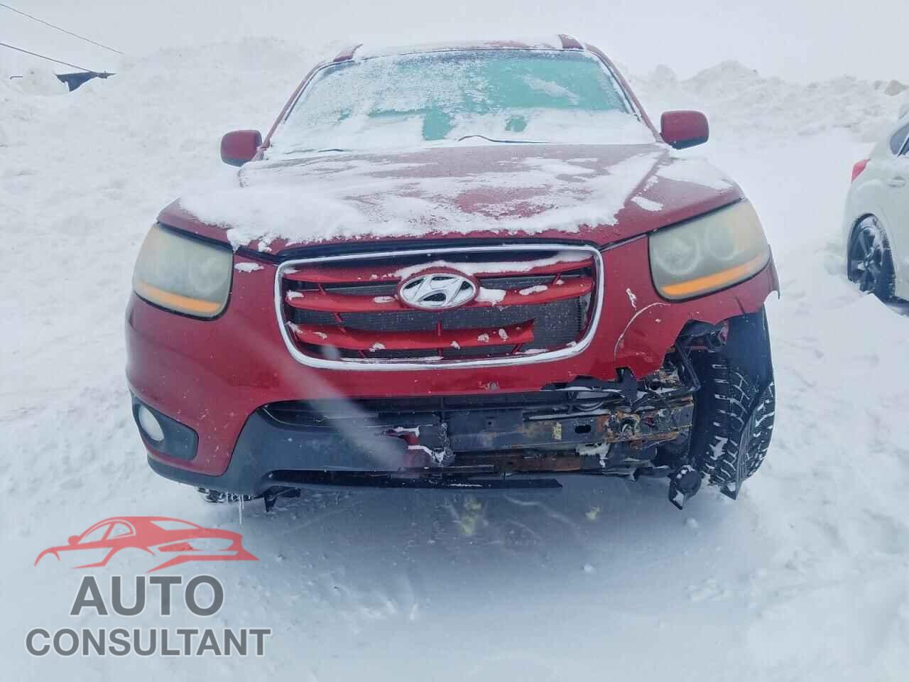 HYUNDAI SANTA FE 2010 - 5NMSGDAG1AH371015