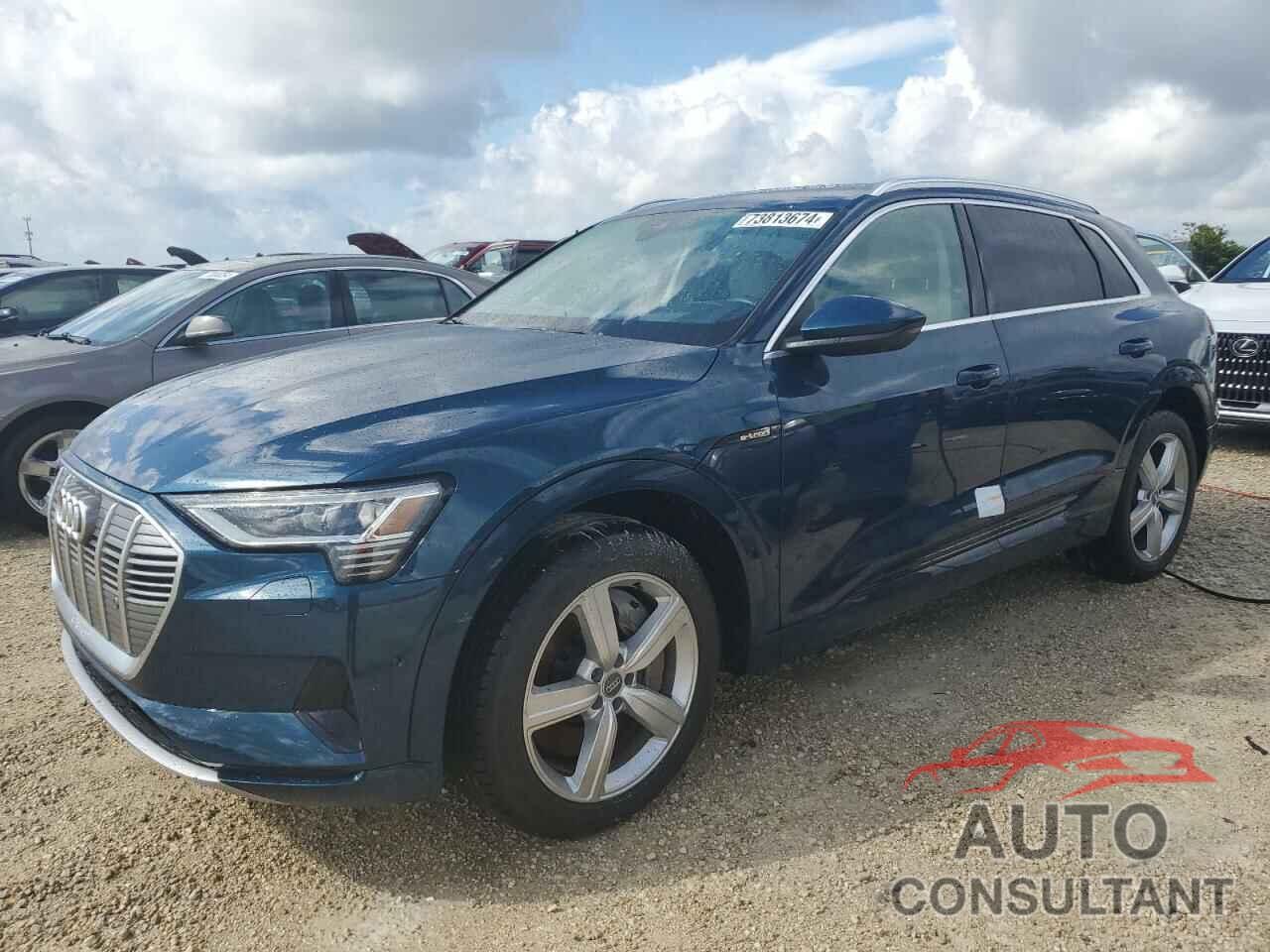 AUDI E-TRON 2019 - WA1VABGE9KB016148