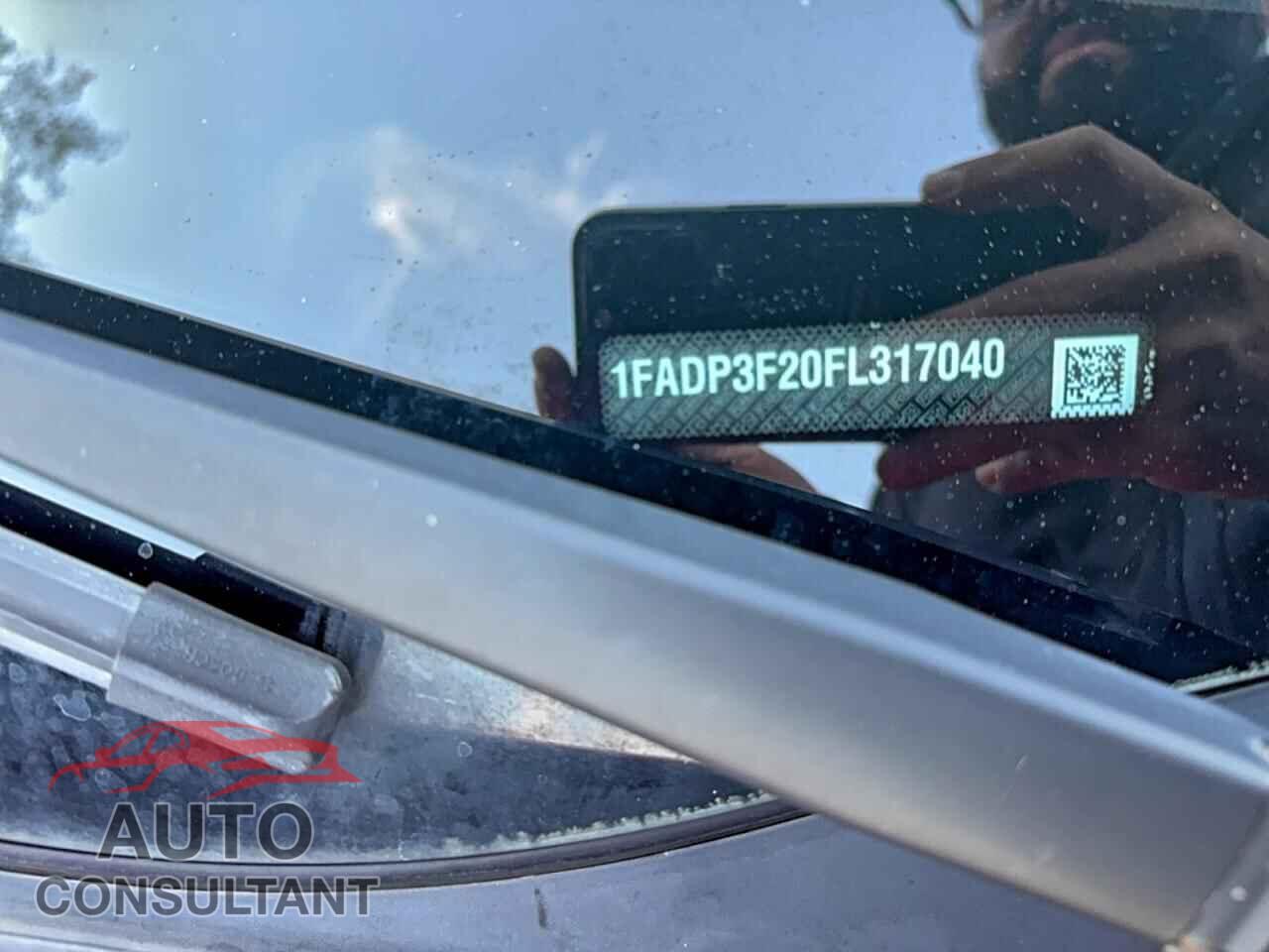 FORD FOCUS 2015 - 1FADP3F20FL317040