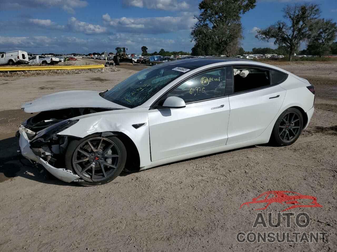 TESLA MODEL 3 2021 - 5YJ3E1EAXMF923521